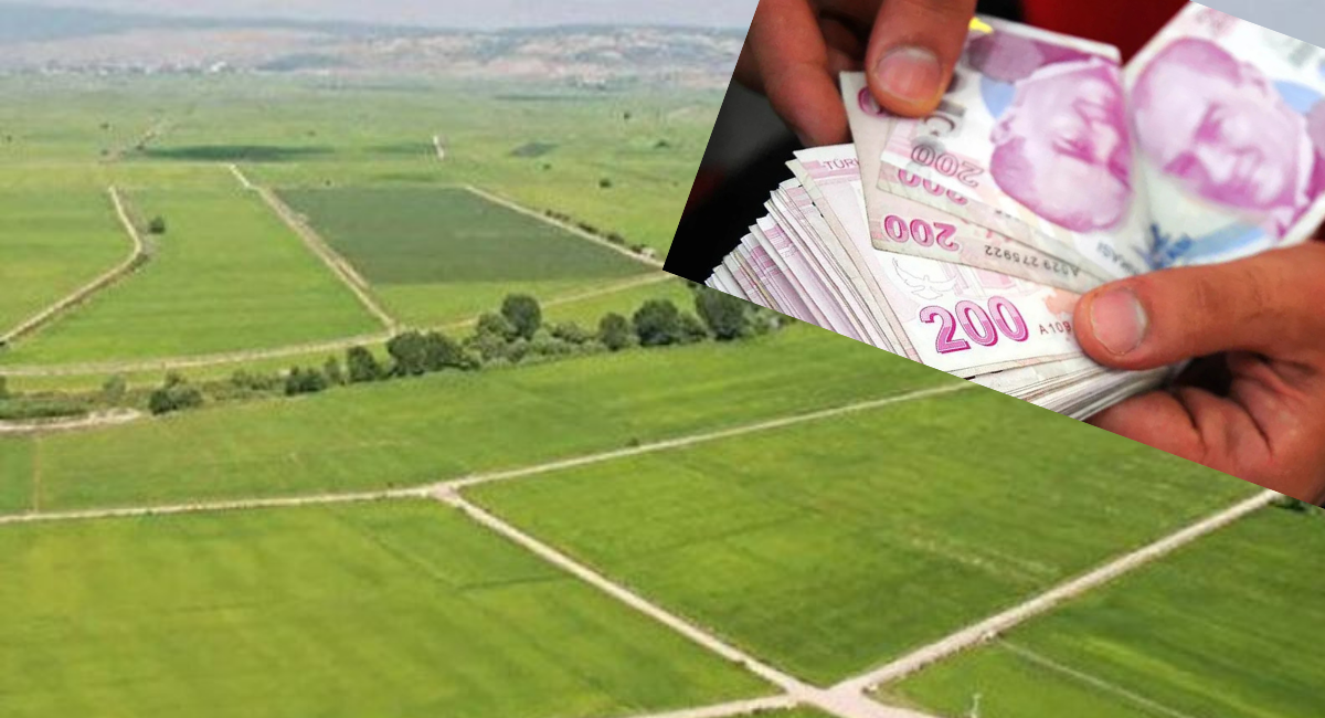 Deprem oldu yine fırsatçılar iş başında! Fiyatlar birden fırladı