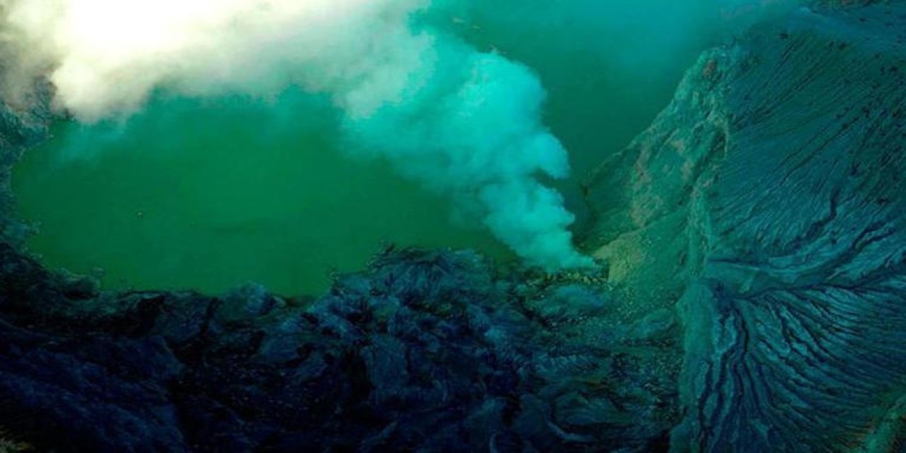 Sualtı volkanında binlerce dev vatoz yumurtası keşfedildi