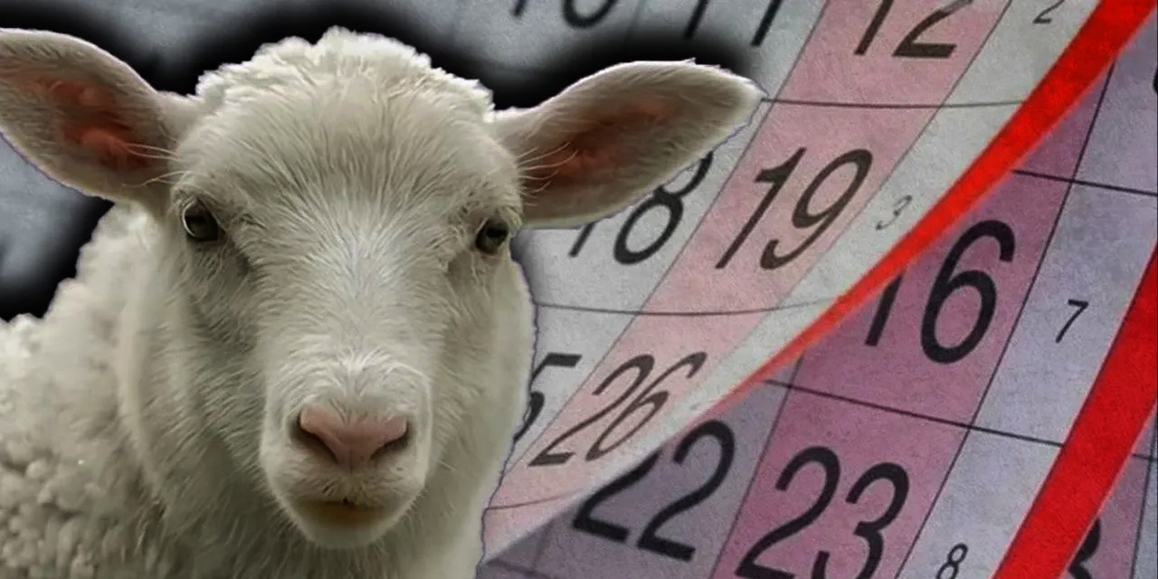 2025 Kurban Bayramı ne zaman, hangi güne denk geliyor? Bayram tatili kaç gün olacak?