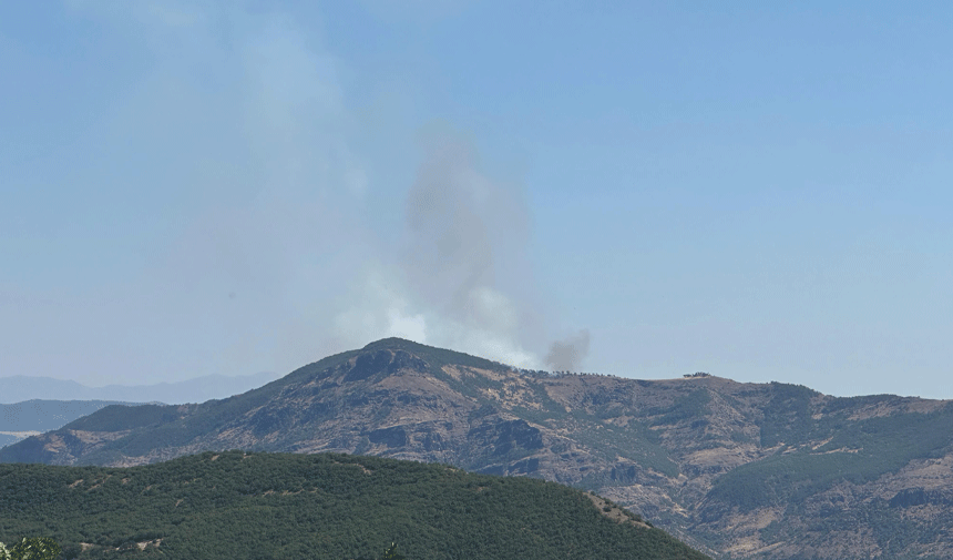 Tunceli'de orman yangını