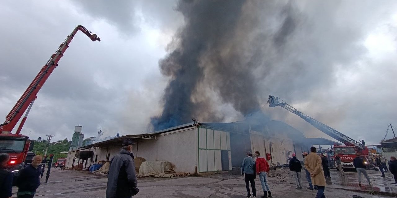 Sakarya’da fındık fabrikasında yangın!