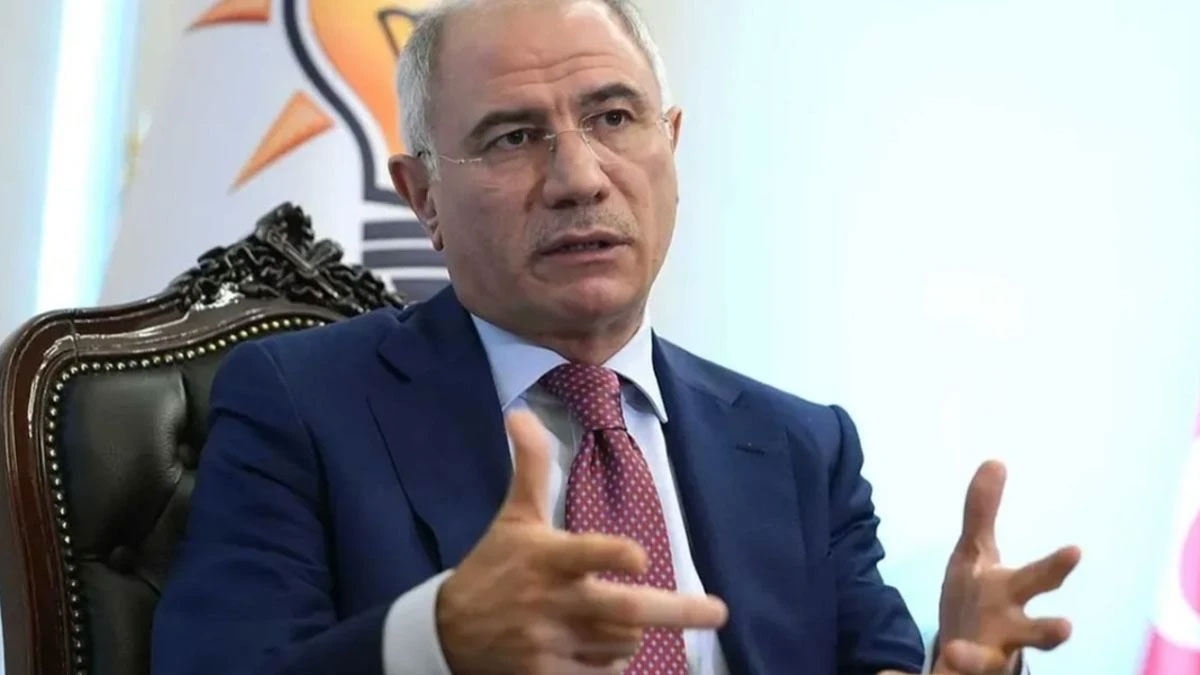 AK Partili Efkan Ala'dan PKK'nın fesih kararına ilişkin açıklama