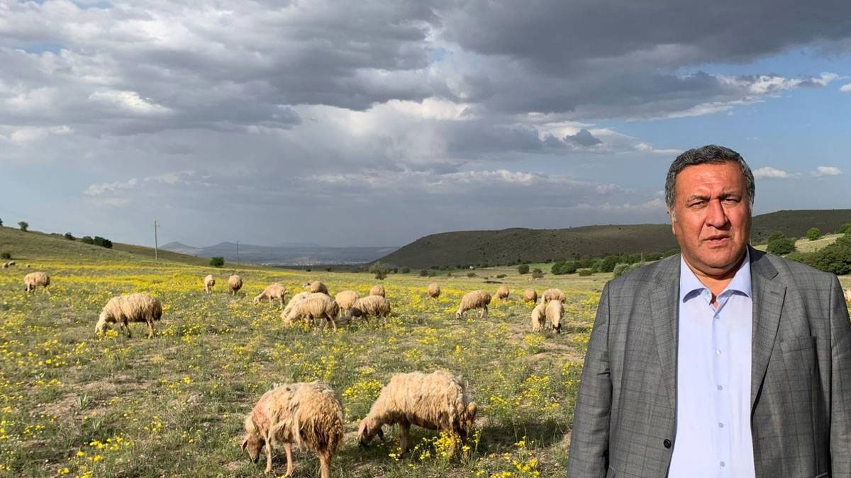 CHP'li Gürer: “Yaklaşık 5 Niğde büyüklüğünde işlenen tarım alanı yok oldu”