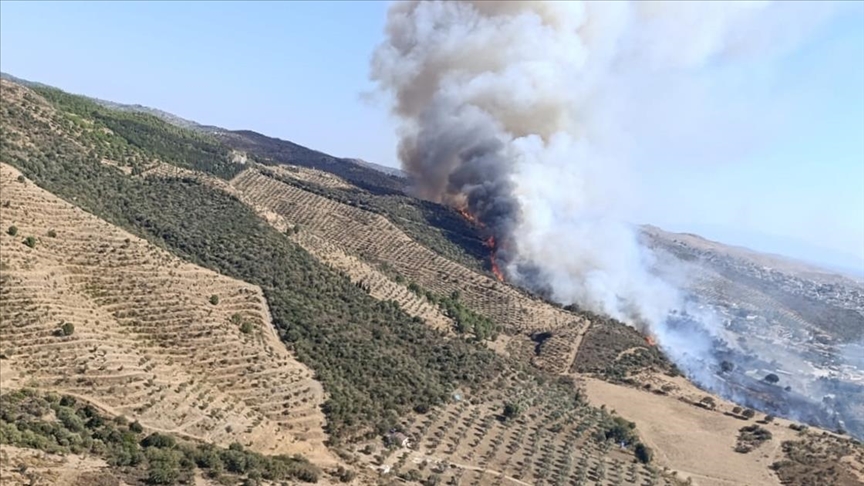 İzmir’de makilik alanda yangın