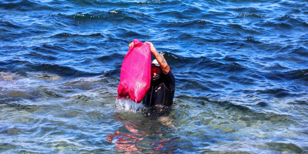Bodrum'da geleneksel deniz dibi temizliği başladı