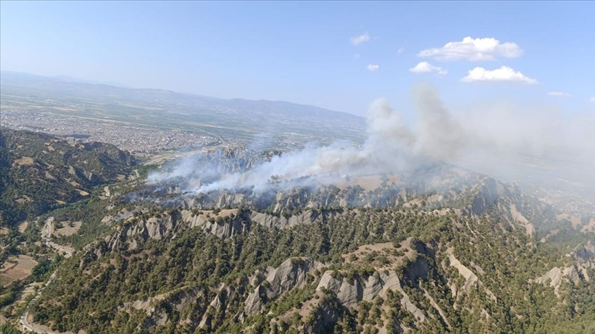 Manisa’da orman yangını