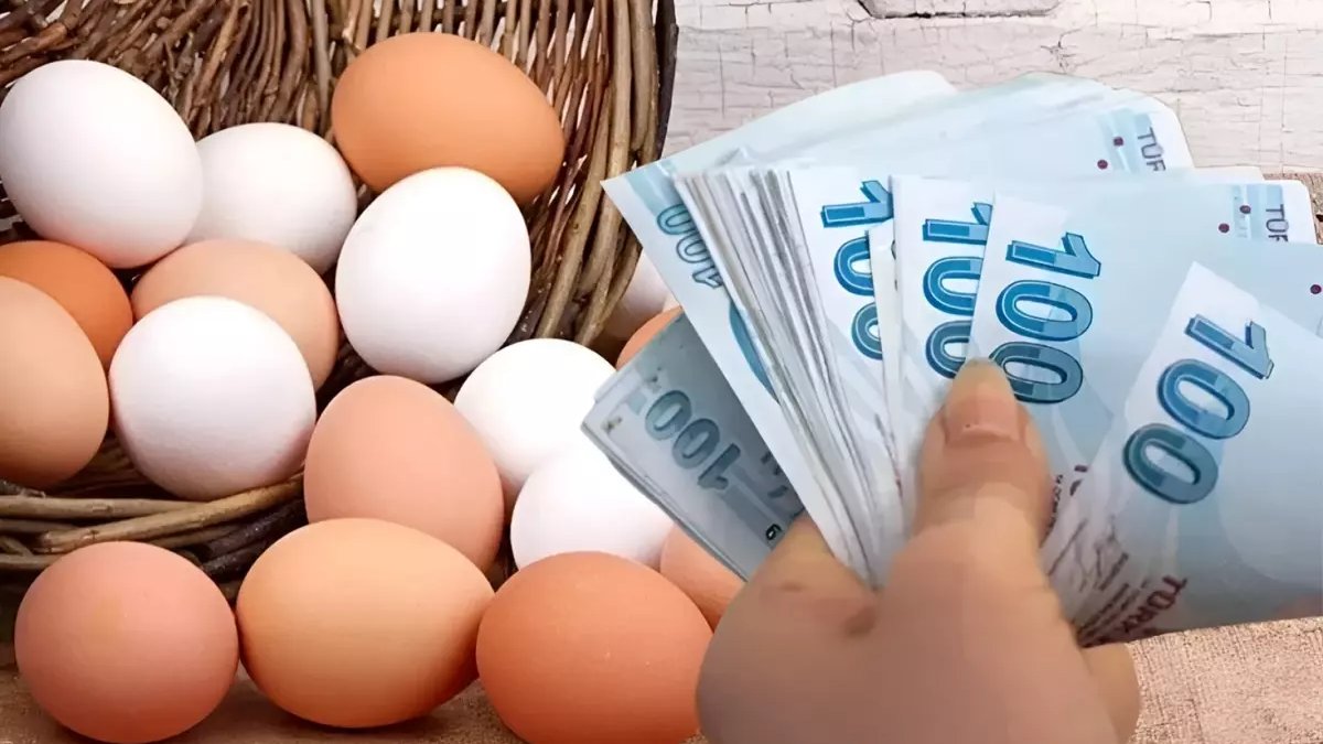 Bayram öncesi yüzde 50 indirim geldi: Yumurtanın yeni fiyatı belli oldu