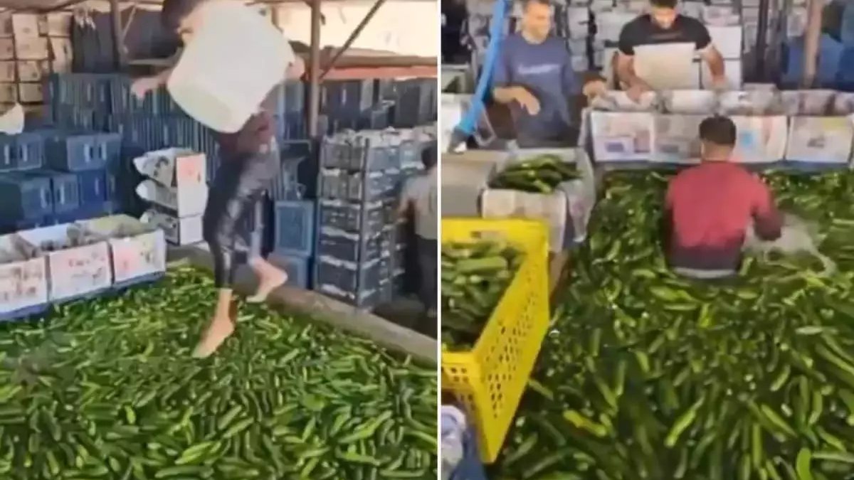 Adana’da salatalık havuzuna çıplak ayakla girdi!