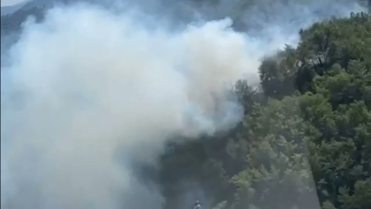 Muğla Marmaris’te orman yangını