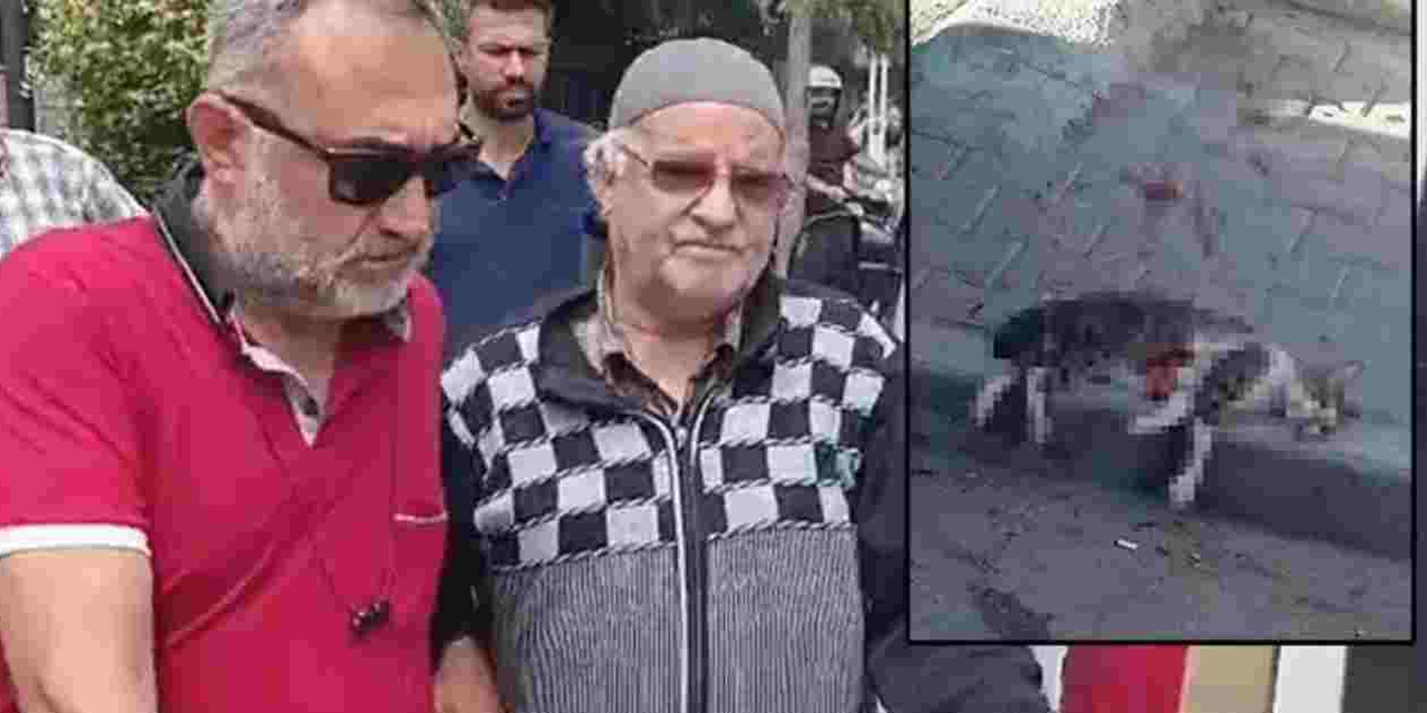 Manisa’da sokak kedisini pompalı tüfekle vuran adam tutuklandı