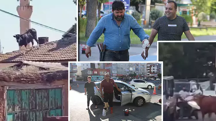 Bayram öncesi acemi kasaplara güzel haber: Artık ellerini kesmeyecekler
