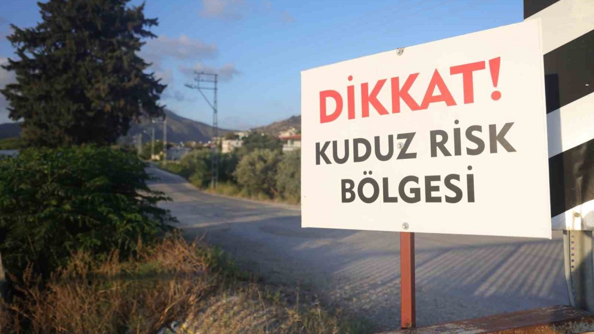 Hatay'da kuduz alarmı: 4 mahalle karantinada