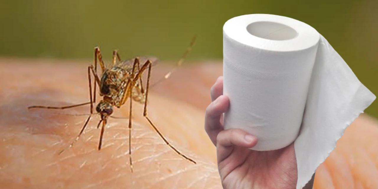 Sprey ya da cihaz yok! Sivrisinekleri uzaklaştıran yöntem sosyal medyada gündem oldu