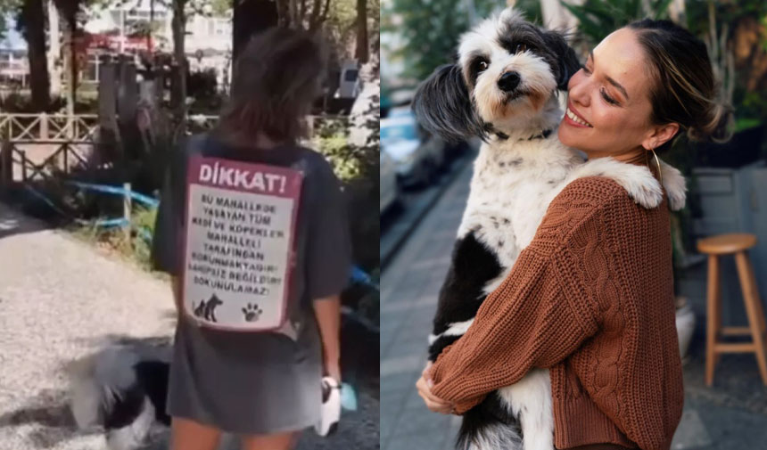 Seda Türkmen, hayvan hakları afişini sırtına asıp gezdi: Kedi ve köpekler sahipsiz değildir
