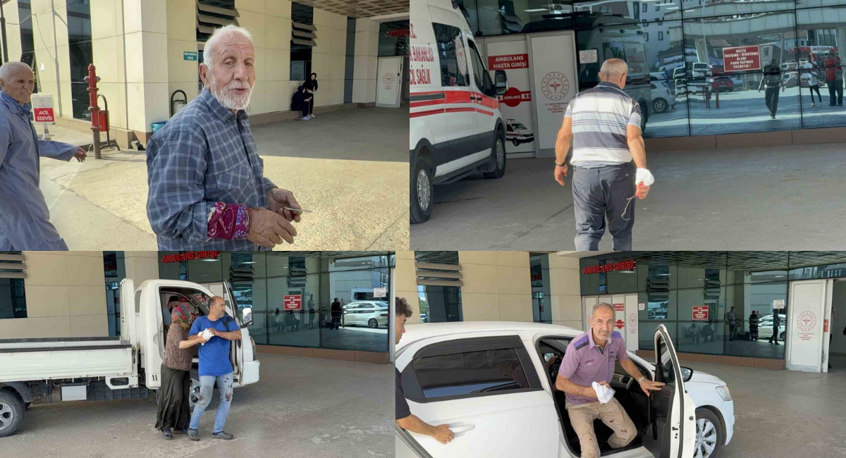 Acemi kasaplar hastaneye koştu: Bu bayramda da manzara değişmedi