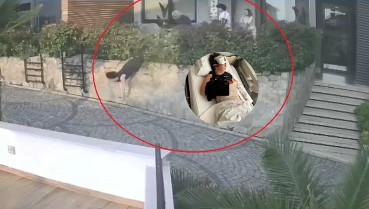 Doktorun ittiği kadın ağır yaralandı: Tartışma felaketle bitti