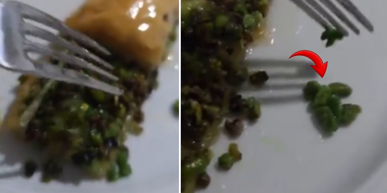 Bayramda alınan fıstıklı baklavanın içinden çıkan pes dedirtti