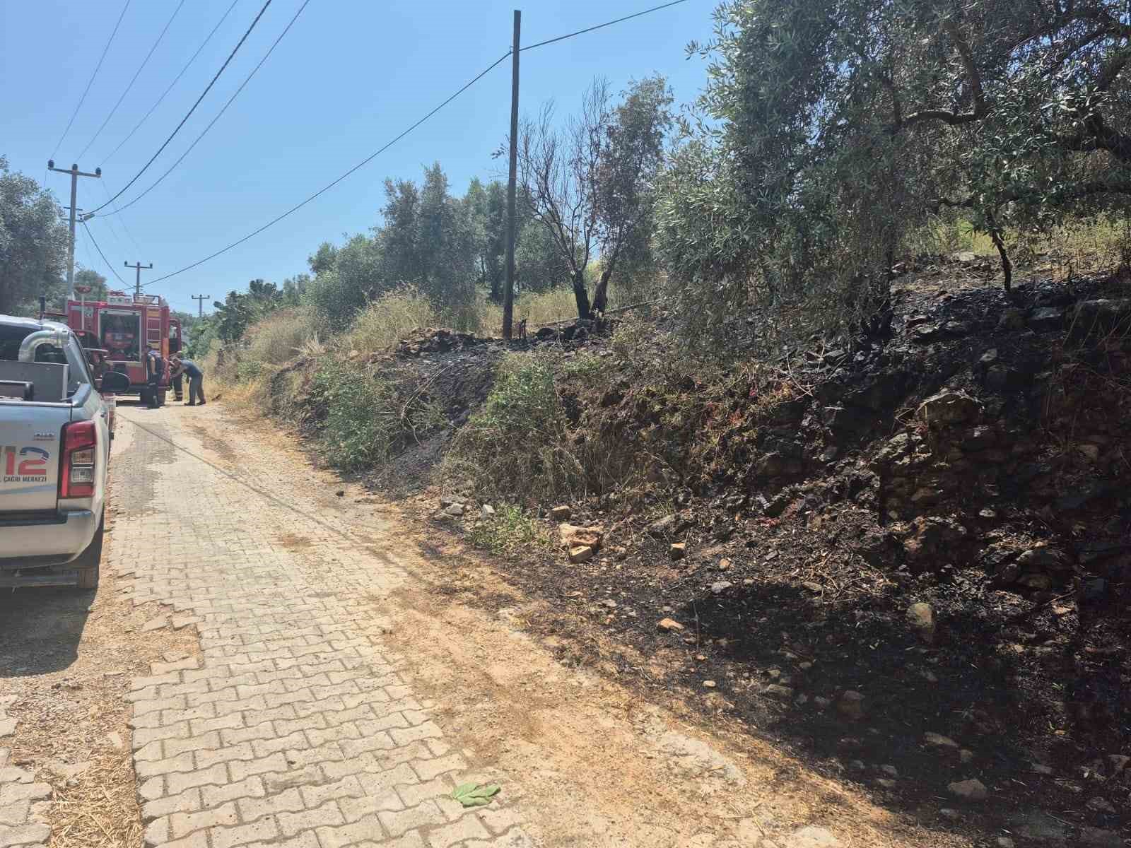 Muğla'da orman yangını