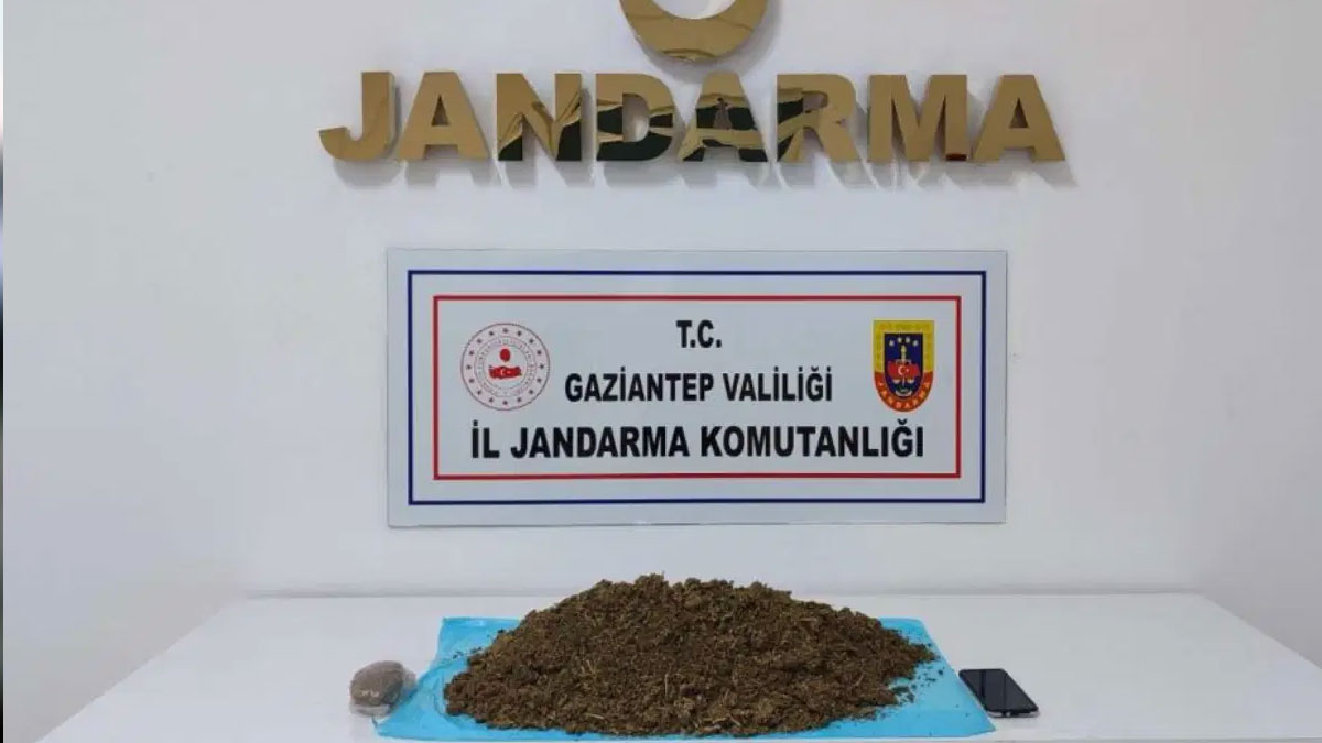 Gaziantep’te 5 kilo skunk ele geçirildi