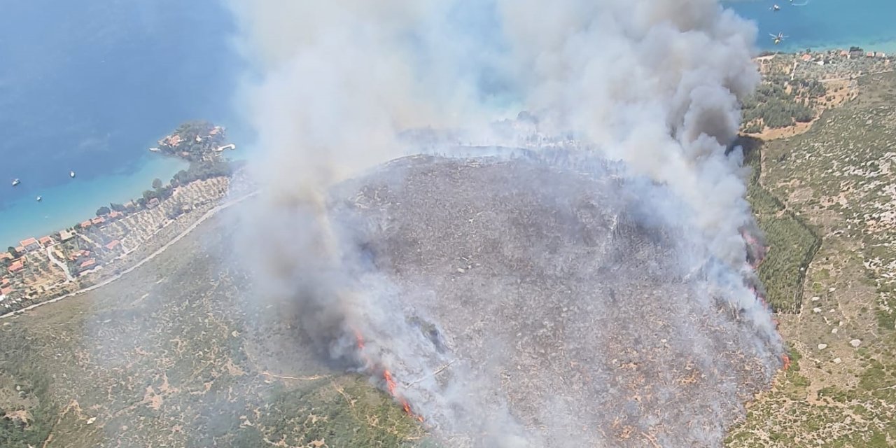 İzmir'de orman yangını