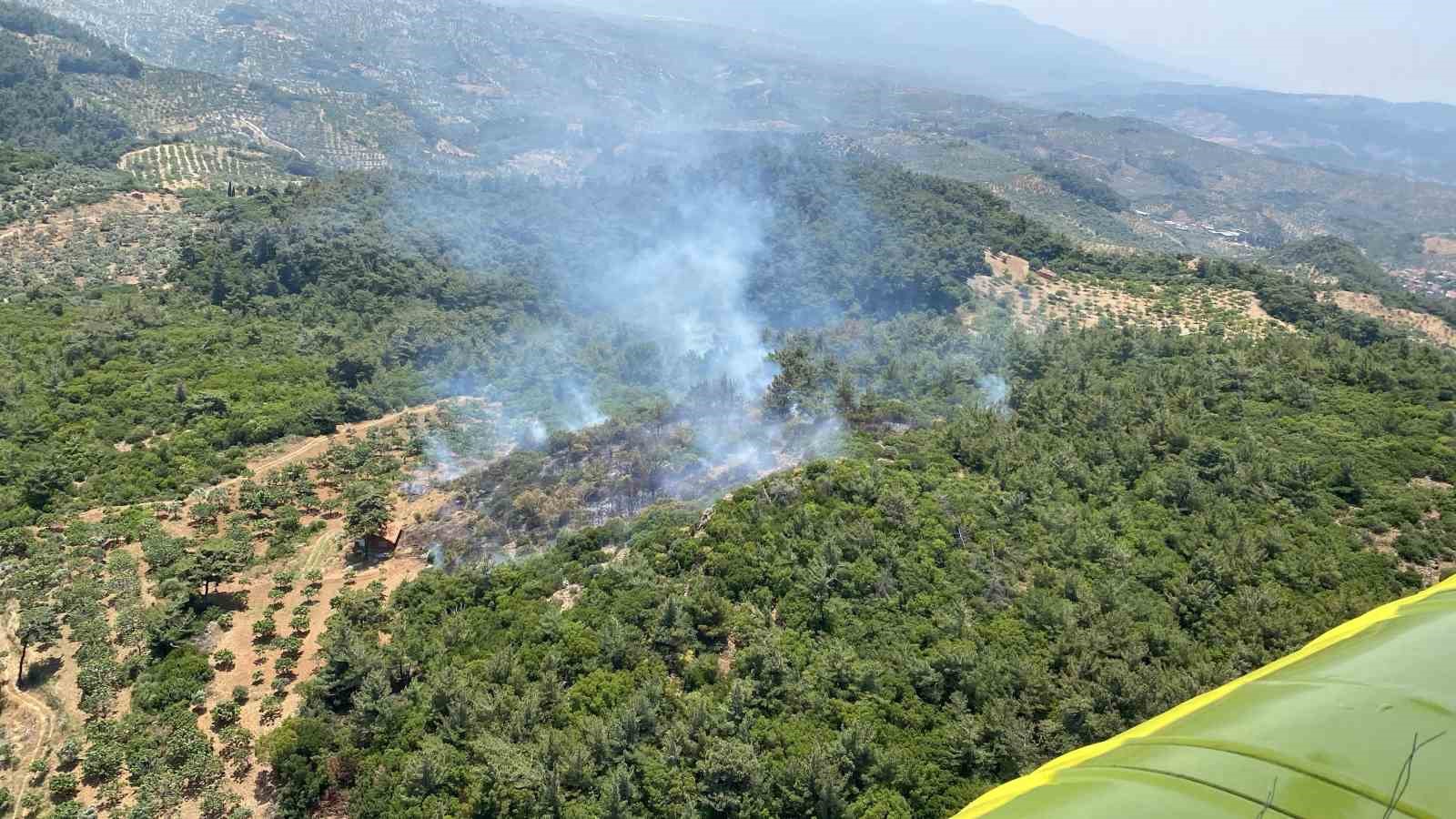 Aydın'da orman yangını
