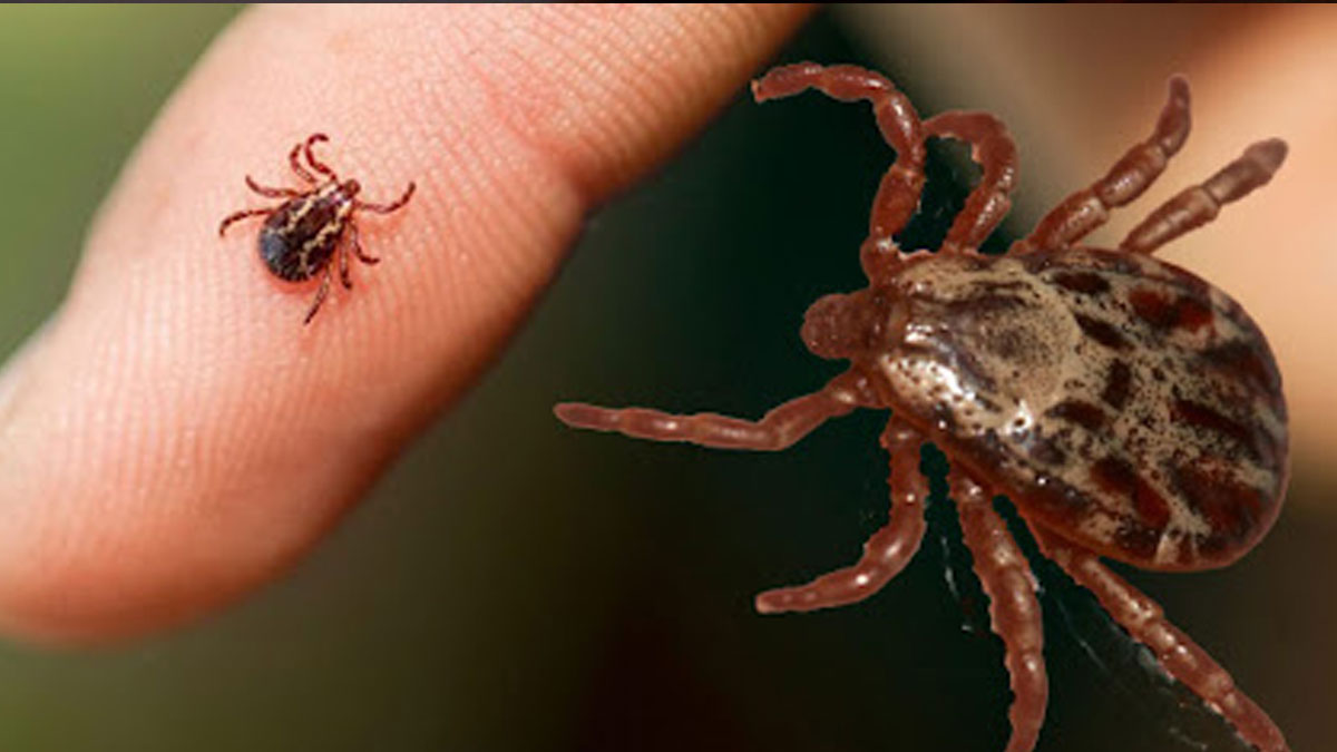 KKKA şüphesiyle tedavi gören kadın hayatını kaybetti