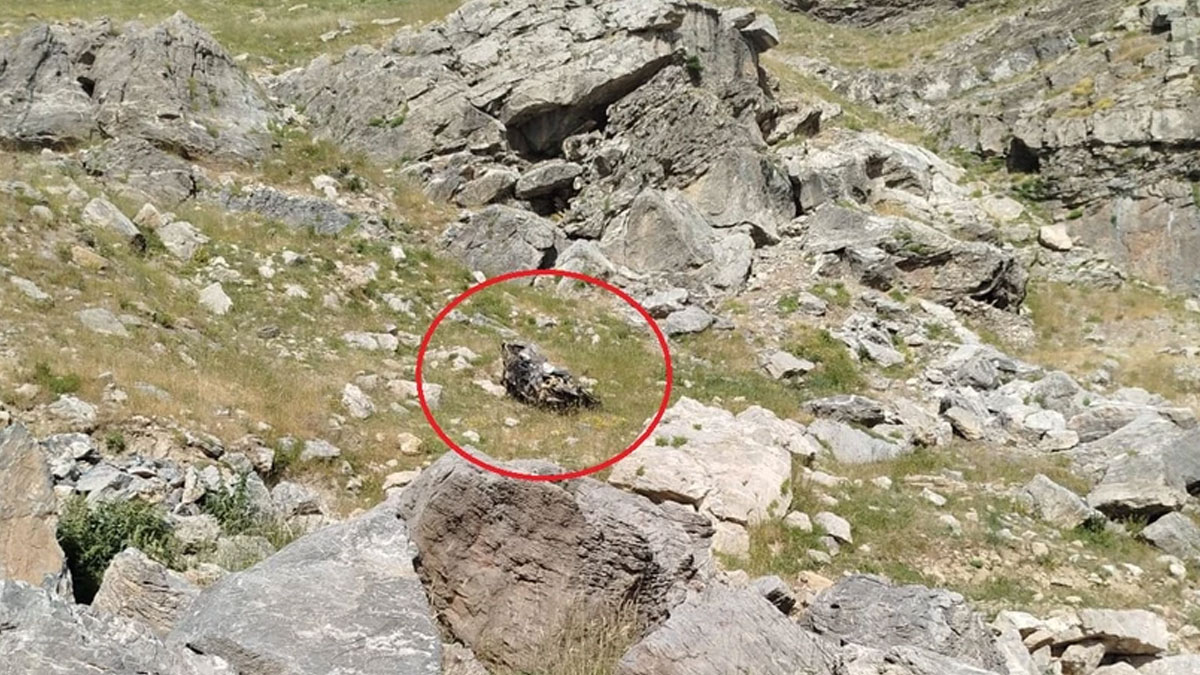 Batman'da bilirkişi heyeti kaza yaptı: 5 can kaybı var!