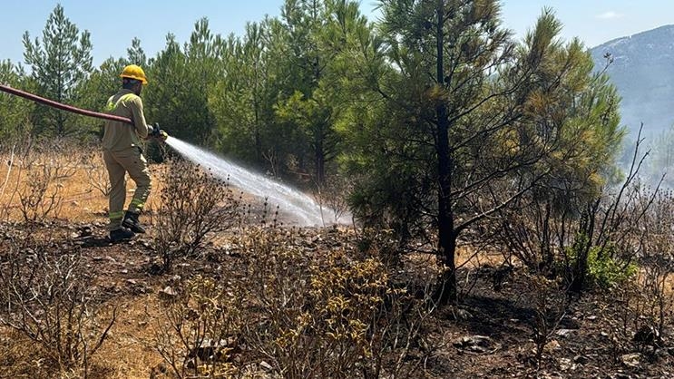 Mersin'deki orman yangınlarını çıkaran iki kişi birbirini suçladı