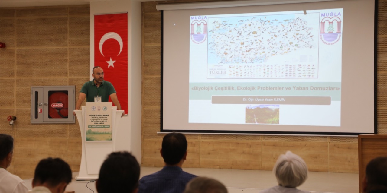 Muğla’da yaban domuzlarının etkileri masaya yatırıldı