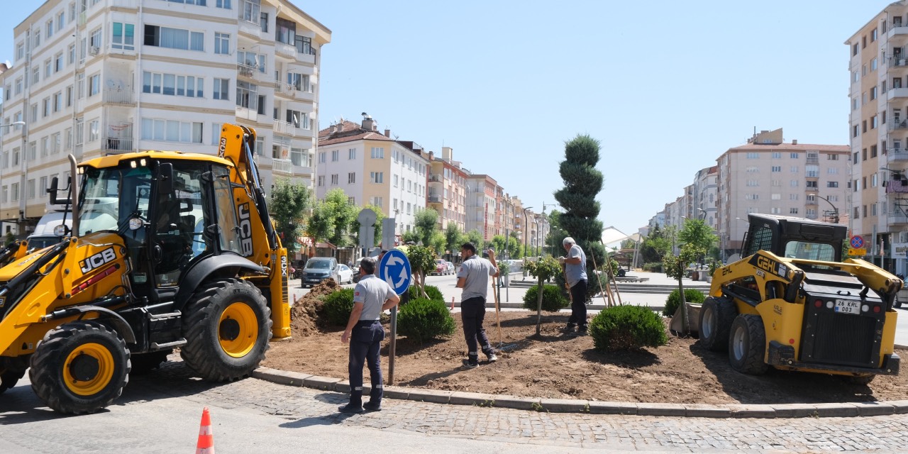 Eskişehir Büyükşehir Belediyesi'nden kuru peyzaj hamlesi