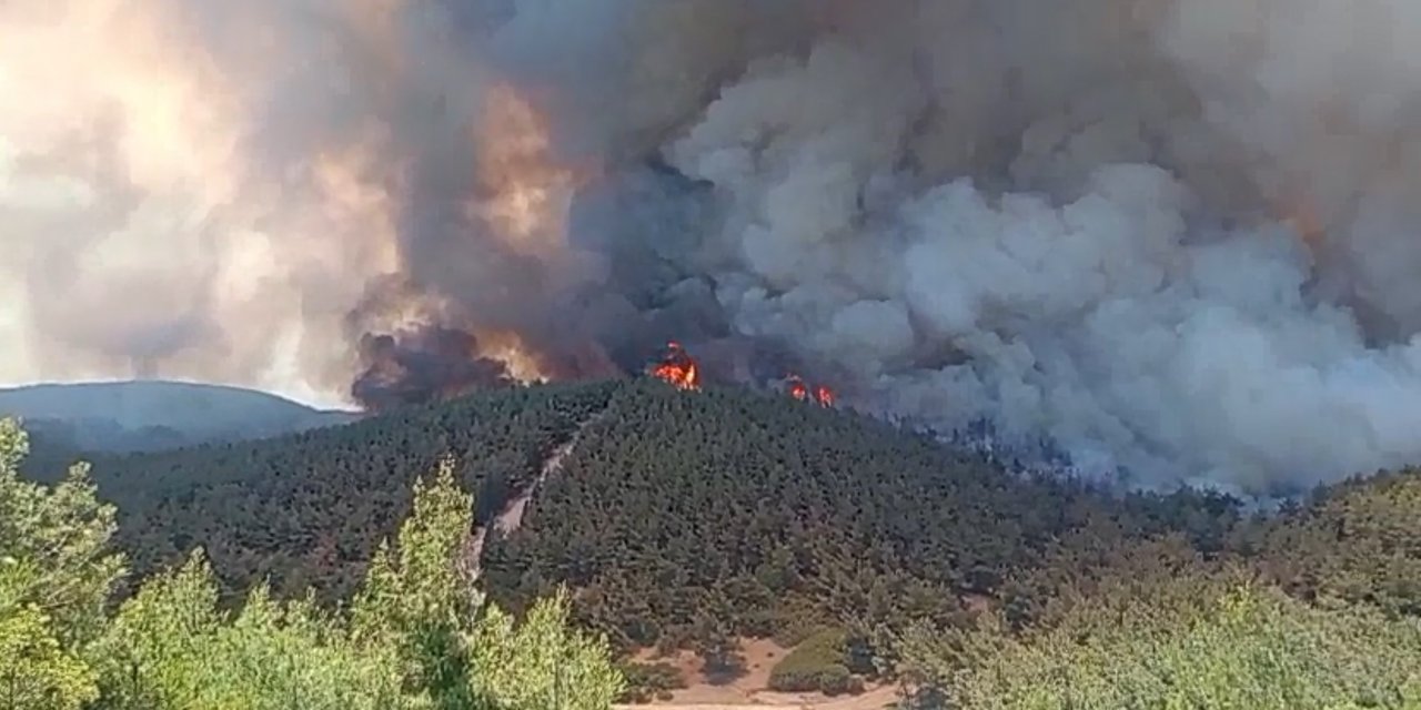 İzmir'de orman yangını! 175 ev boşaltıldı, 550 kişi tahliye edildi