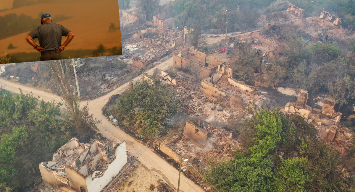 Bilecik'te orman yangınında 1 köy kül oldu: Görüntüler ciğerleri yaktı