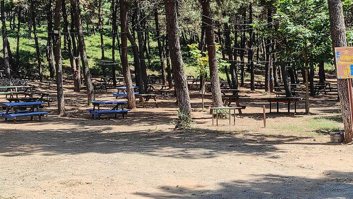 Orman yangınlarına karşı önlem: 47 ilde yasak kararı