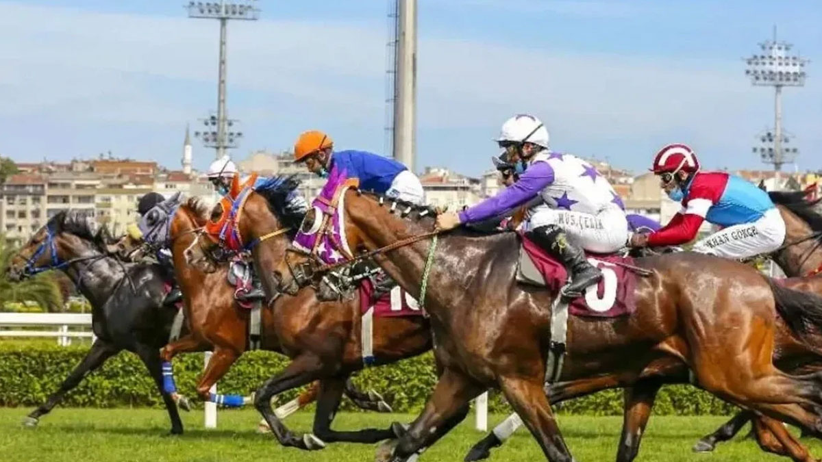 Büyük heyecan için geri sayım: 99. Gazi Koşusu kimin olacak