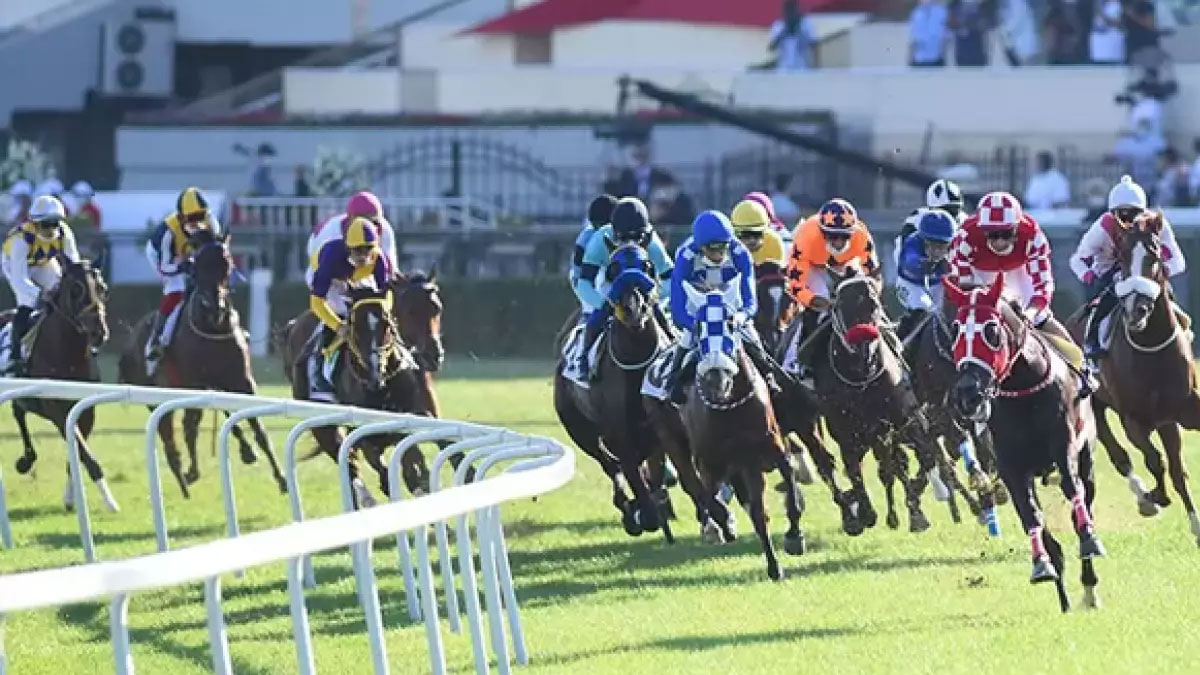 99'uncu Gazi Koşusu'nun kazananı belli oldu