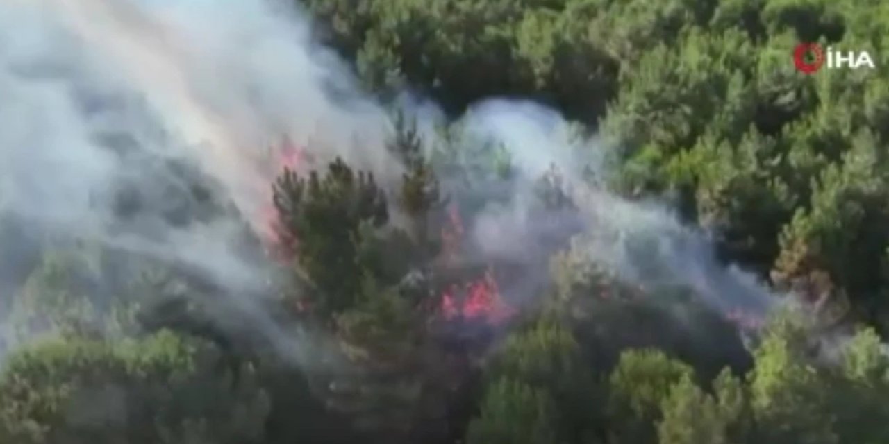 İstanbul'da da orman yangını çıktı: 2 dönümlük alan zarar gördü
