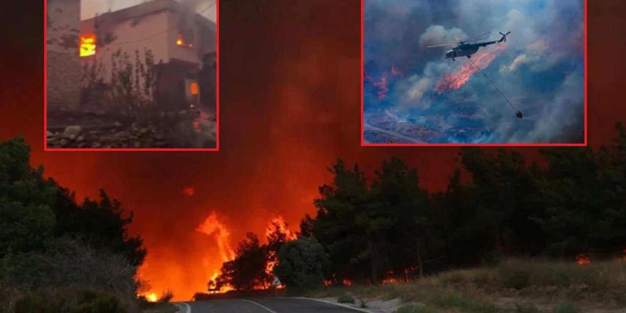 İzmir'deki orman yangının nedeni belli oldu: Dehşet ortaya çıktı