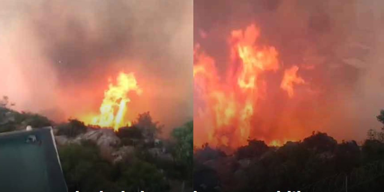 Orman yangınında gözetleme kulesindeki personel alevlerle burun buruna geldi