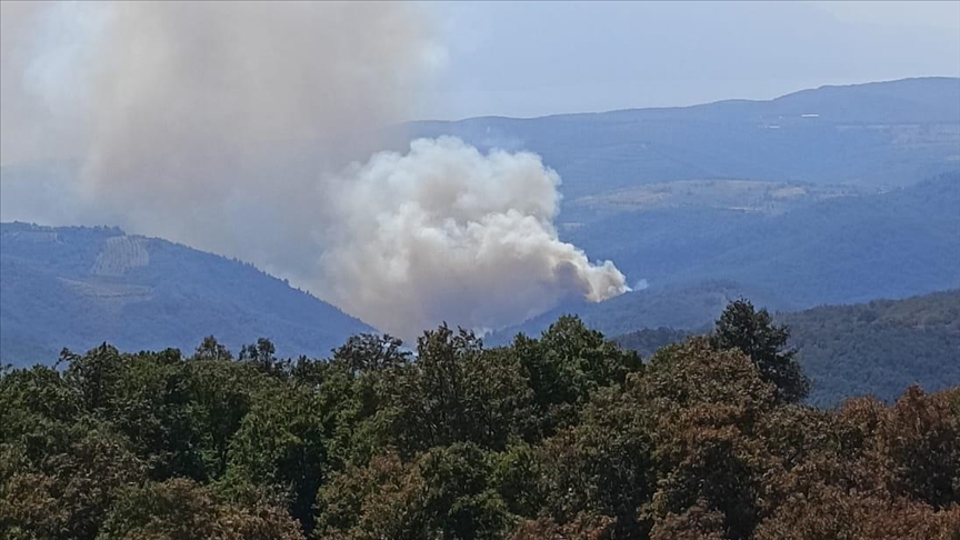 Bursa’da ormanlık alanda yangın