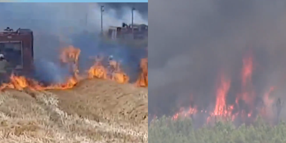 Silivri alev alev yanıyor: Orman yangınları İstanbul'a sıçradı