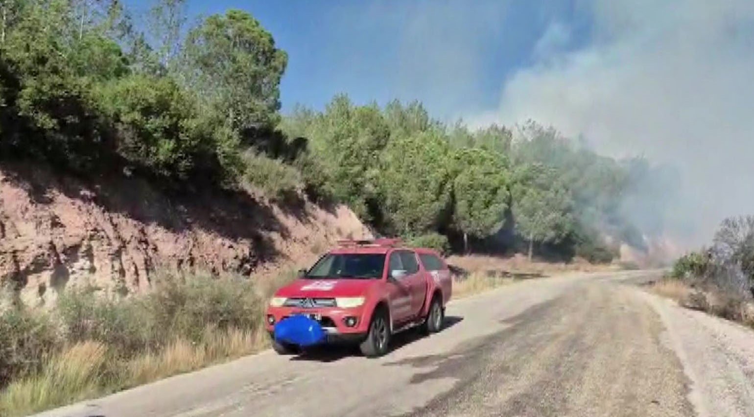 Adana'da orman yangını