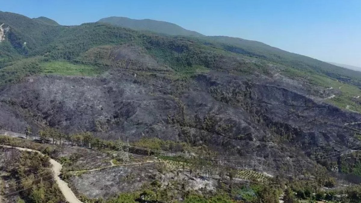 Hatay Dörtyol'daki orman yangını kontrol altına alındı