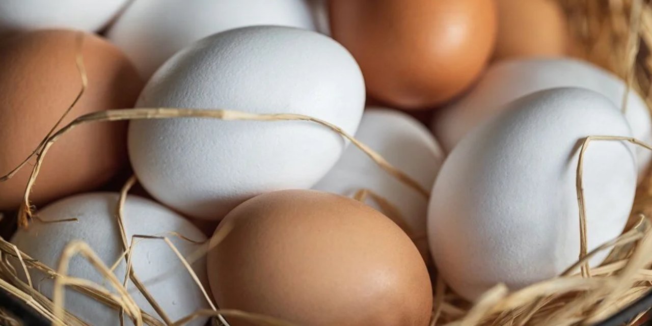 Yumurtaya zam geldi: En ucuzu bu fiyata çıktı