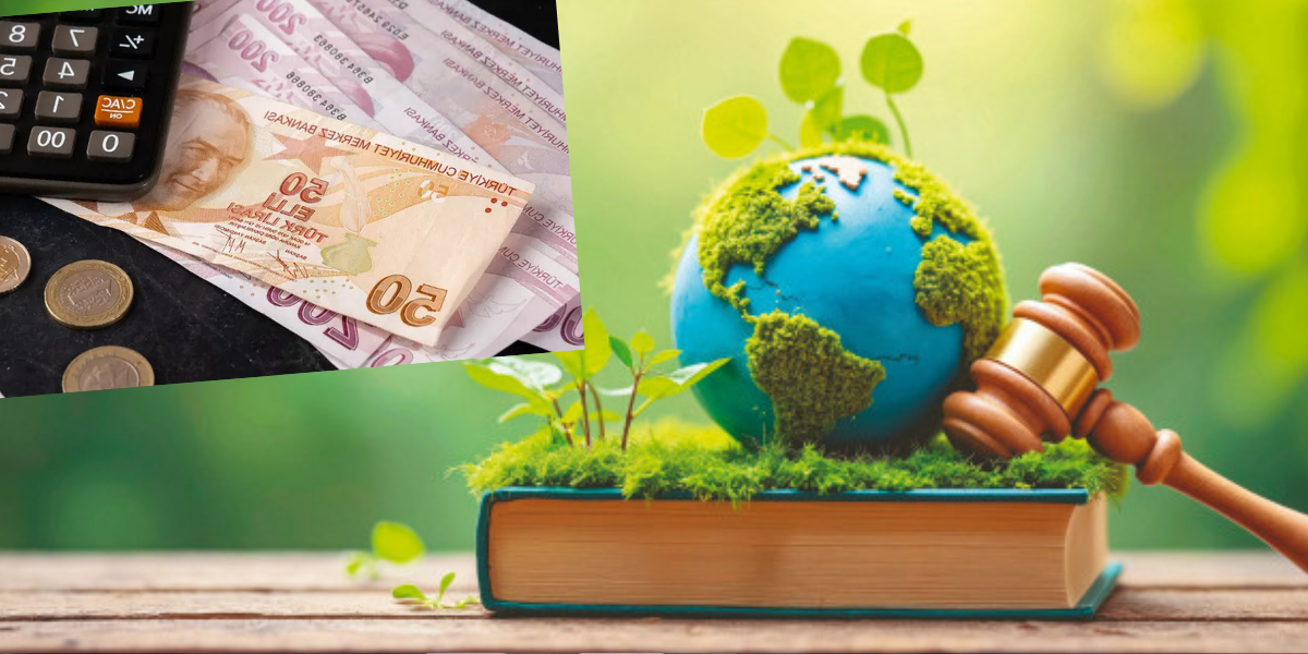 İklim Kanunu Resmi Gazete'de yayımlandı: Bu kurallara uymayanlara milyonluk ceza