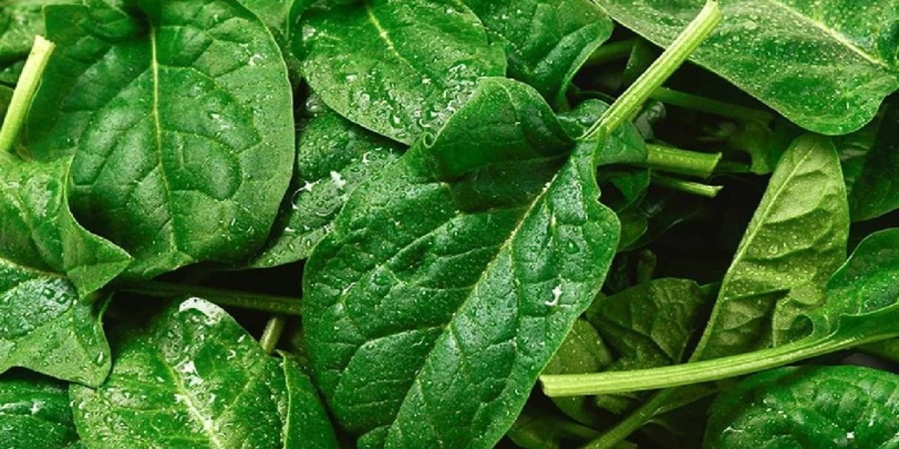 Sıkı diyet olmadan doğal yağ yakıcı yeşillik! Lif kaynağıyla sindirime destek
