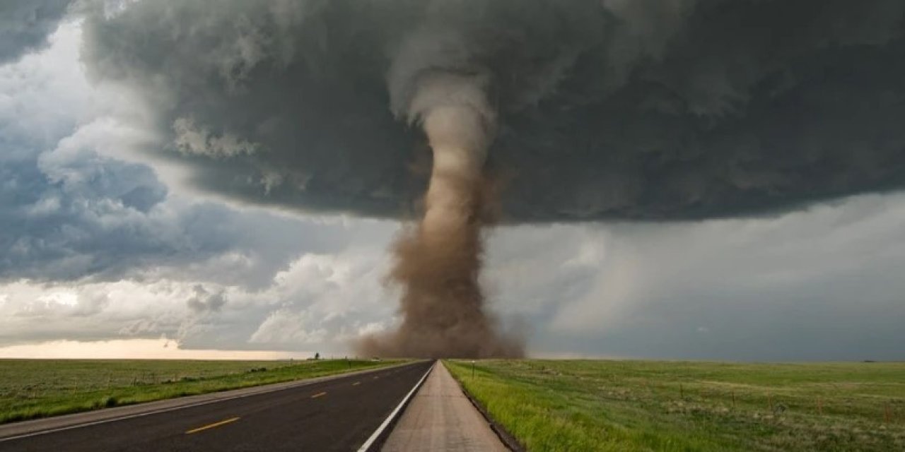 Kasırgaya kapılan ne yaşar? Hayatta kalmanın sınırında bilimsel gerçekler