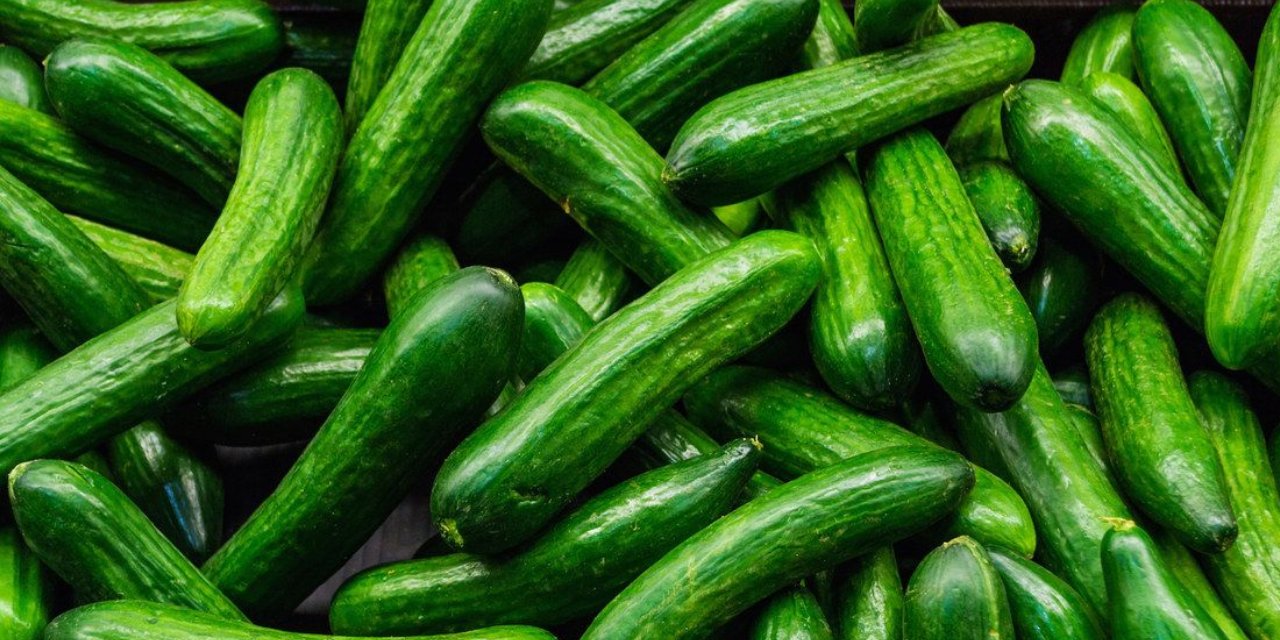 Salatalıkta alarm! "Sakın yemeyin" uyarısı