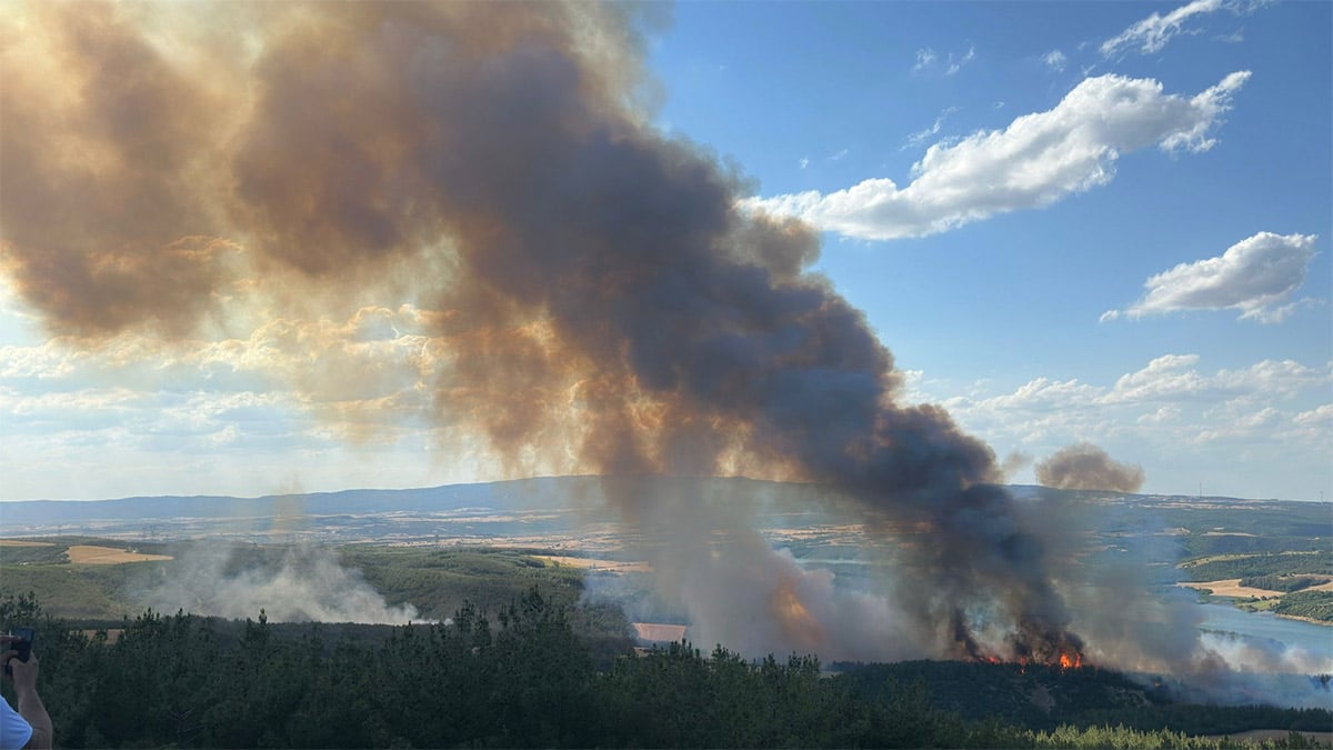 Tekirdağ Şarköy’de korkutan orman yangını