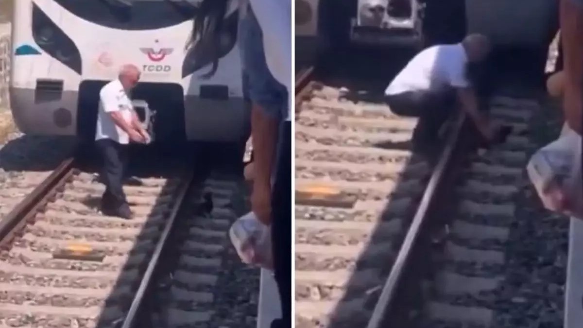 Marmaray makinisti raylardaki yavru kediyi kurtardı