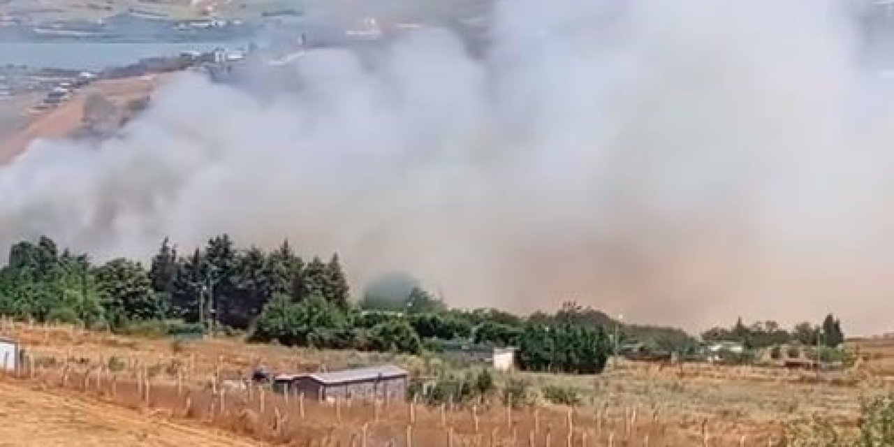 Büyükçekmece’de buğday tarlasında yangın